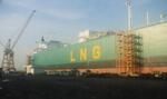 lng bonny.jpg