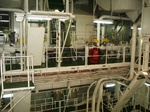 PICT1296.JPG